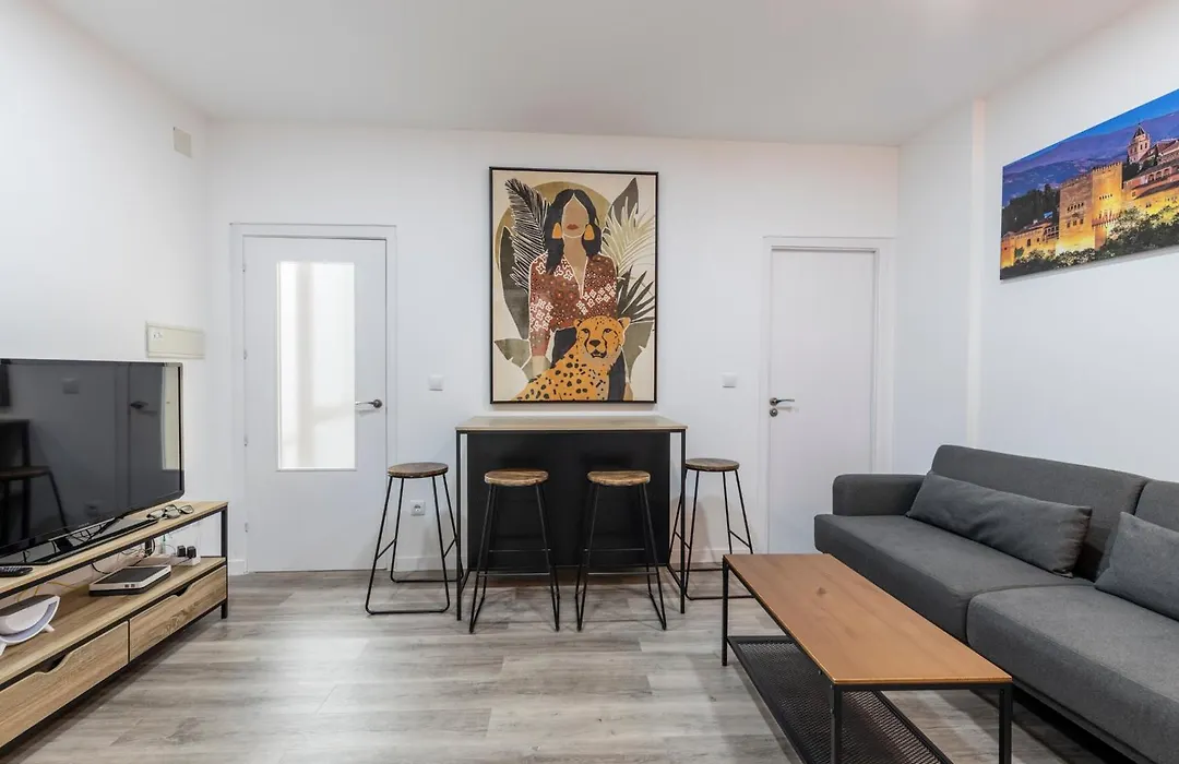 Siesta Apartment Calvache Granada City Centre-1